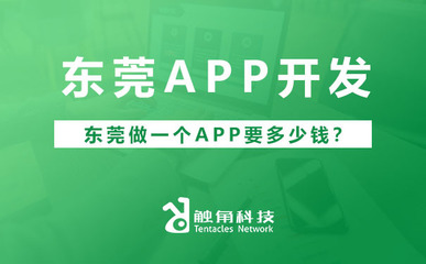 東莞APP軟件開發(fā)費用解析 從需求到落地的預(yù)算構(gòu)成