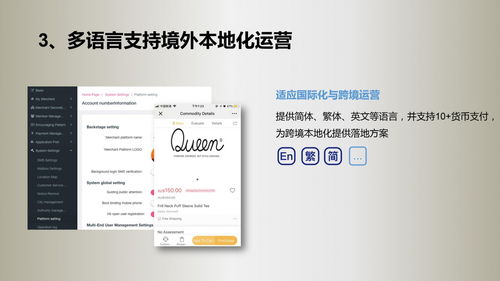 深入解析微三云移動應用系統架構與東莞軟件開發服務